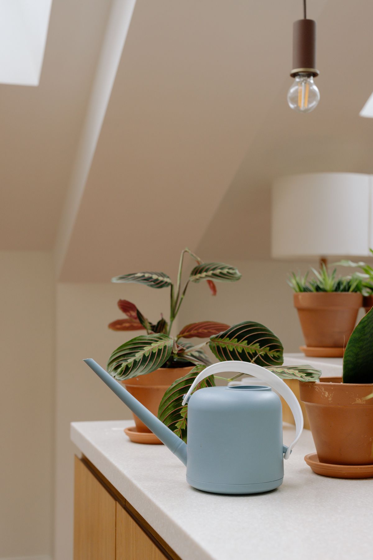 Watering can beside indoor plant pots