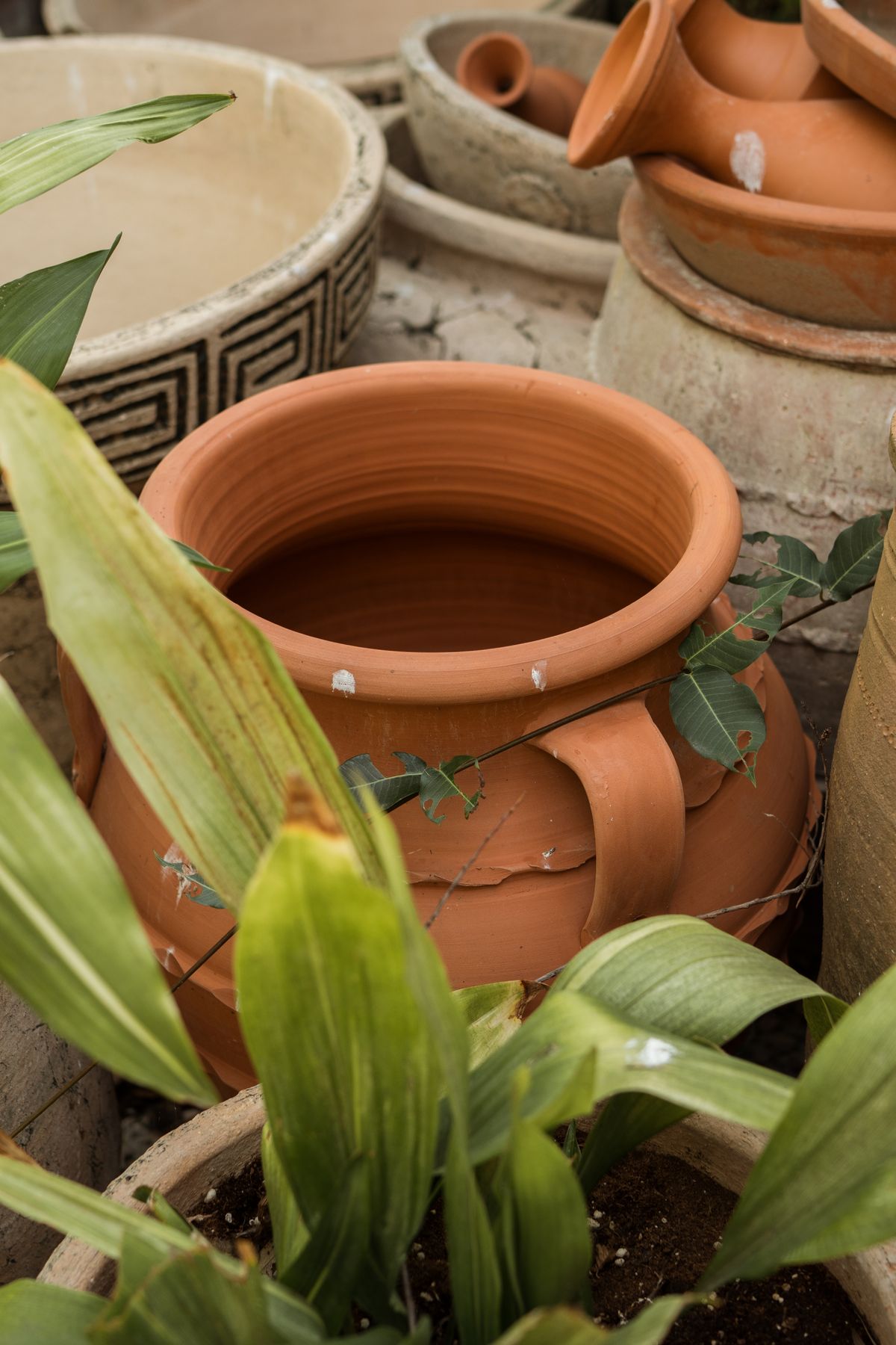Empty pots with their openings visible